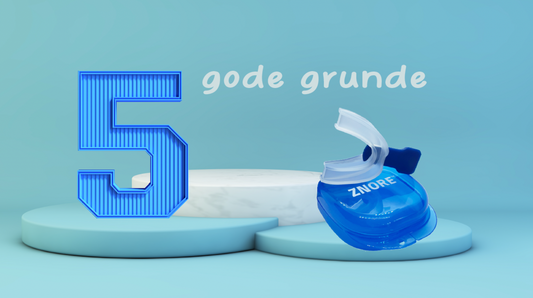 5 GODE GRUNDE TIL AT BRUGE EN SNORKESKINNE